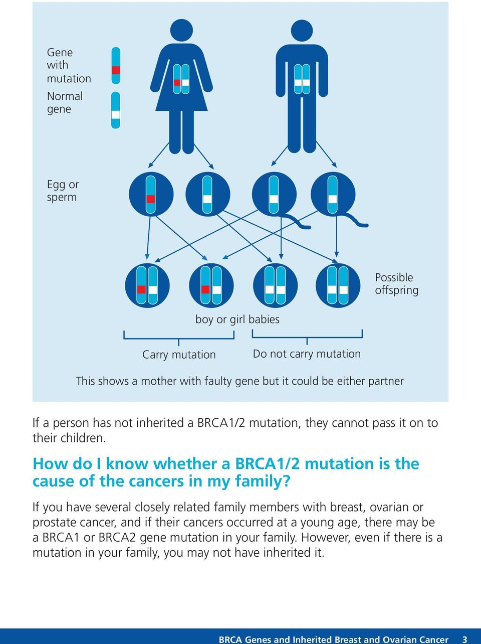 How do I know whether a BRCA1/2 mutation is the cause of the cancers in my family?