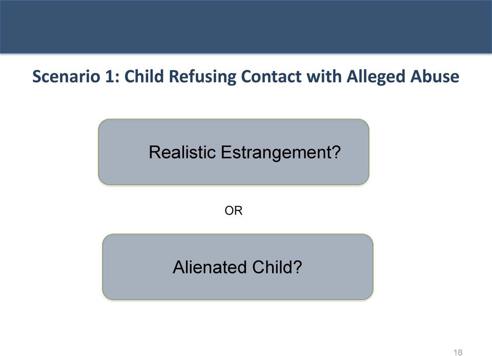 Alleged Abuse Realistic