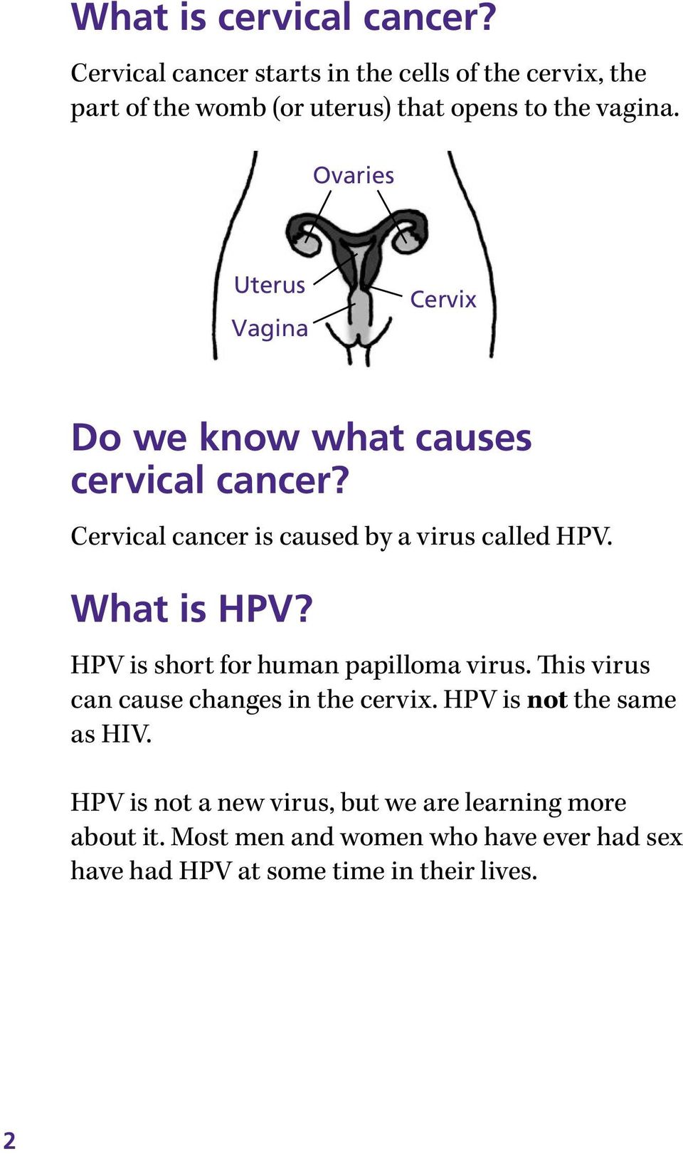Ovaries Uterus Vagina Cervix Do we know what causes cervical cancer? Cervical cancer is caused by a virus called HPV. What is HPV?
