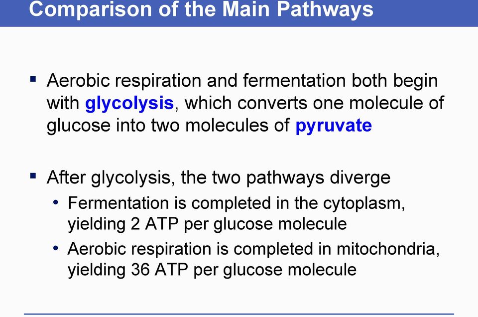 glycolysis, the two pathways diverge Fermentation is completed in the cytoplasm, yielding 2
