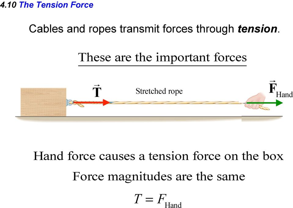 These are the important forces T Stretched rope F