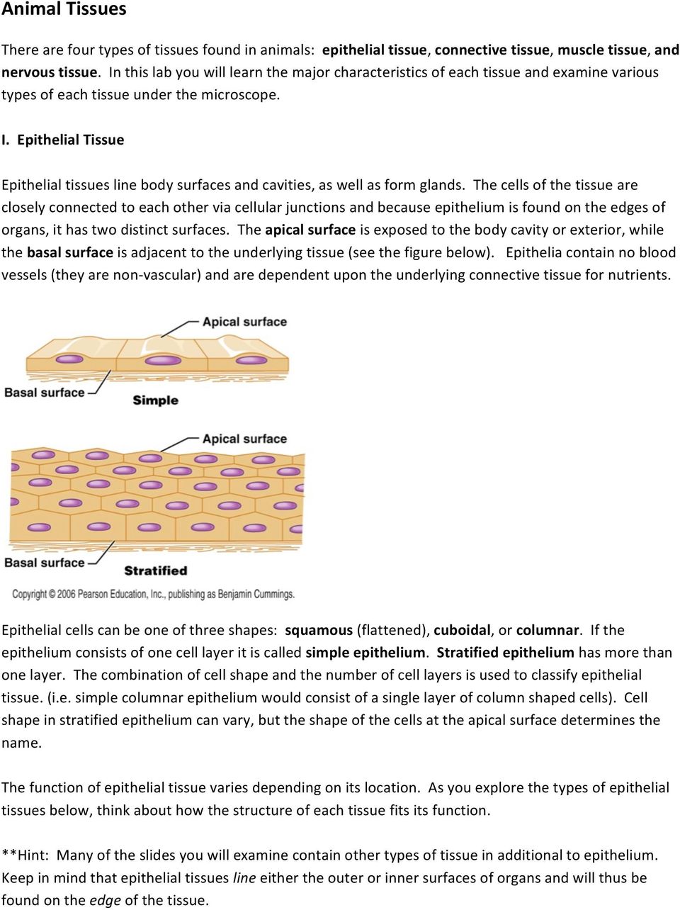 Epithelial Tissue Epithelial tissues line body surfaces and cavities, as well as form glands.