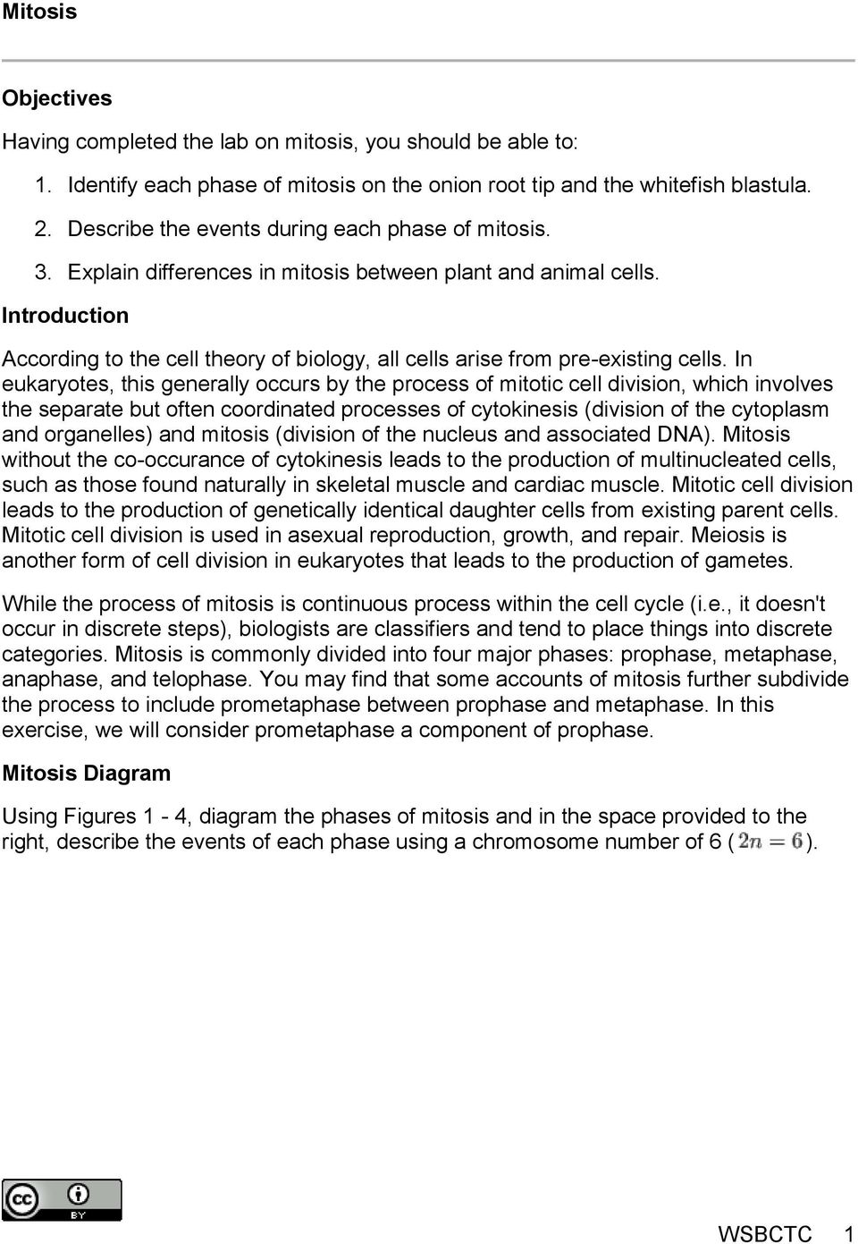 Introduction According to the cell theory of biology, all cells arise from pre-existing cells.