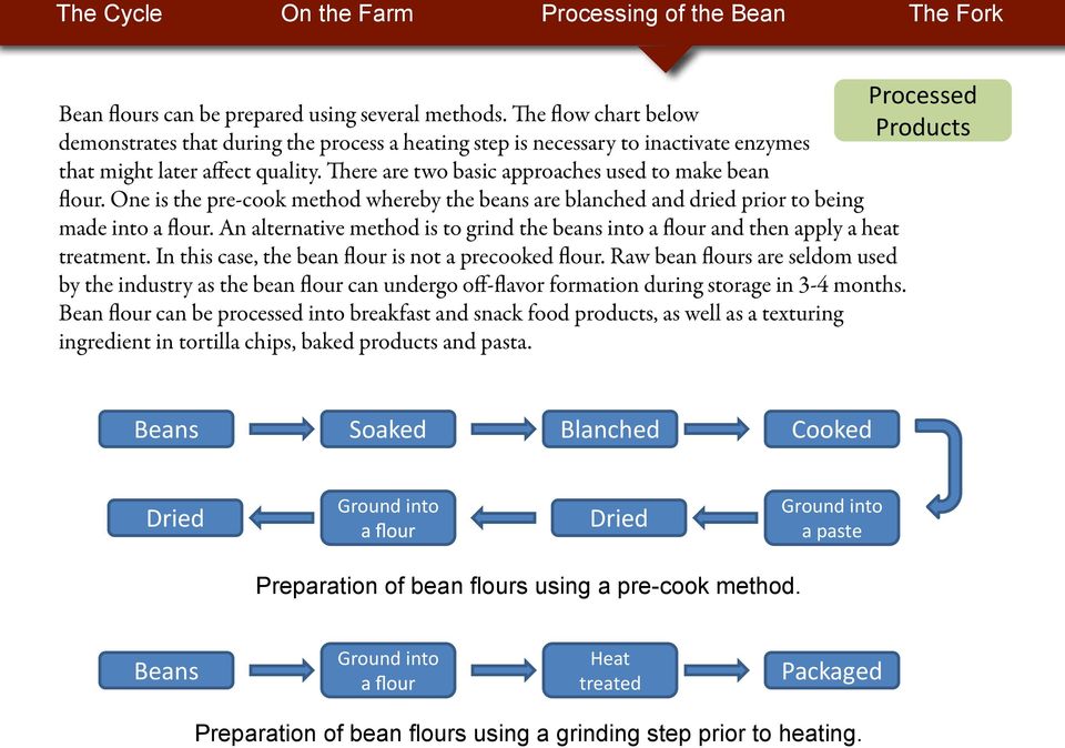 There are two basic approaches used to make bean flour. One is the pre-cook method whereby the beans are blanched and dried prior to being made into a flour.