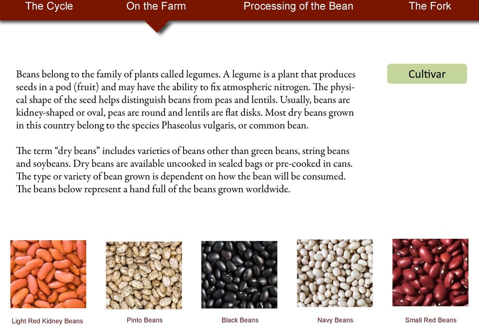 Most dry beans grown in this country belong to the species Phaseolus vulgaris, or common bean. The term dry beans includes varieties of beans other than green beans, string beans and soybeans.