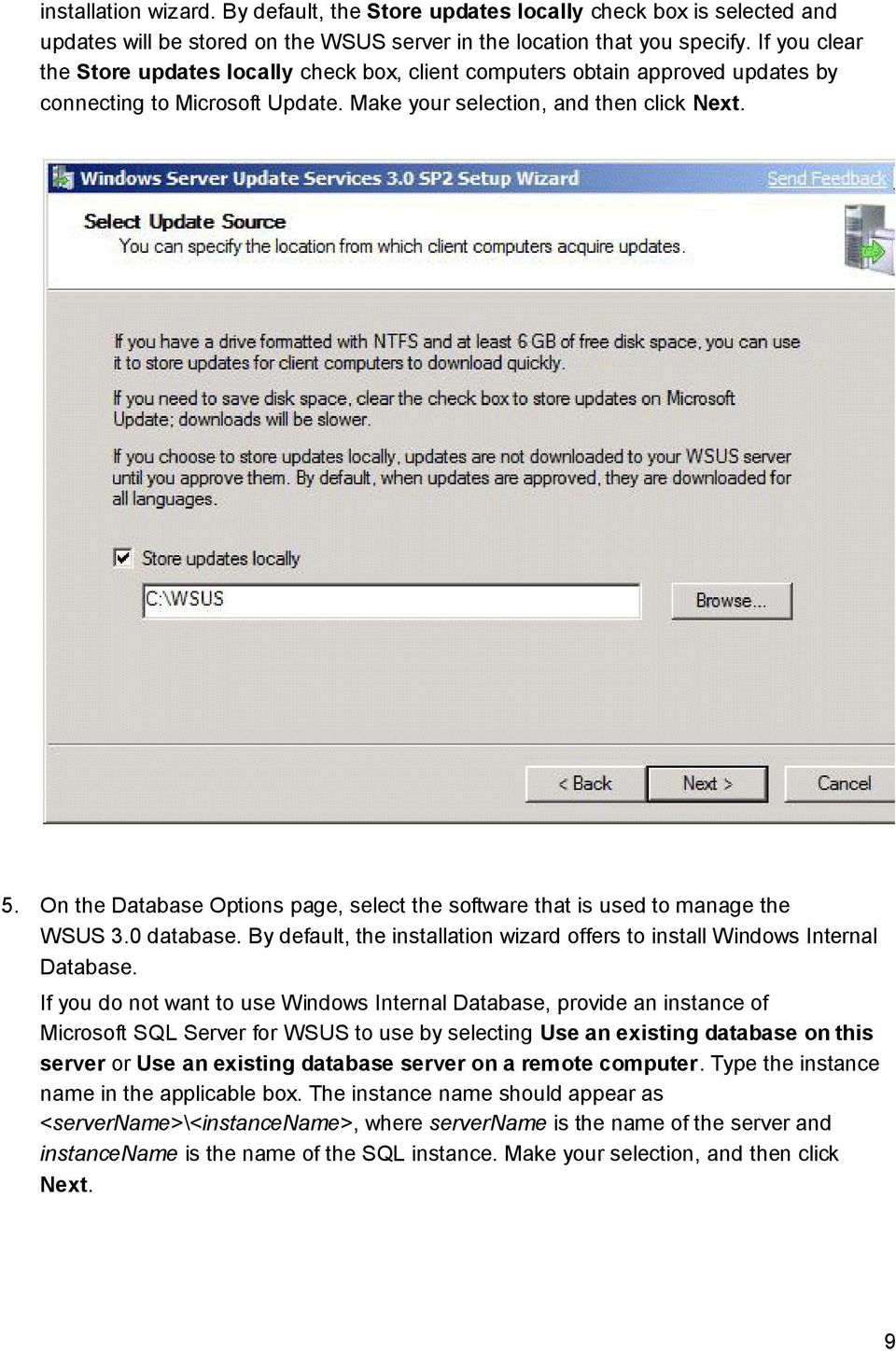On the Database Options page, select the software that is used to manage the WSUS 3.0 database. By default, the installation wizard offers to install Windows Internal Database.