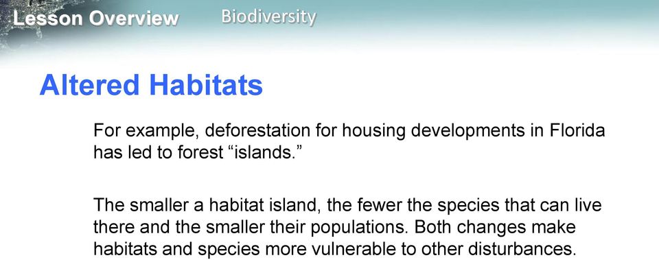 The smaller a habitat island, the fewer the species that can live there