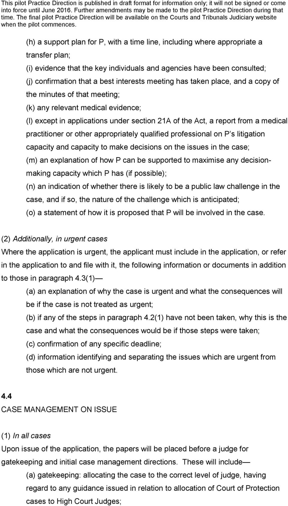 other appropriately qualified professional on P s litigation capacity and capacity to make decisions on the issues in the case; (m) an explanation of how P can be supported to maximise any