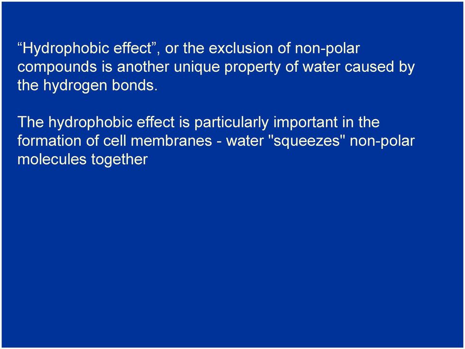 The hydrophobic effect is particularly important in the