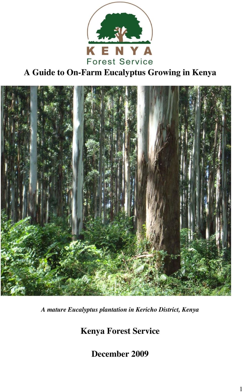A Guide to On Farm Eucalyptus Growing in Kenya   PDF Free Download