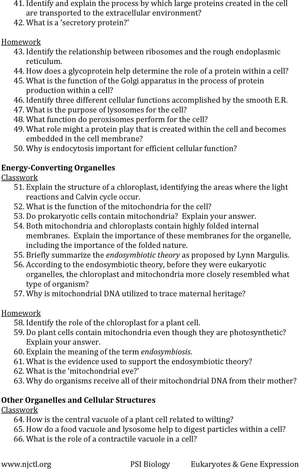 What is the function of the Golgi apparatus in the process of protein production within a cell? 46. Identify three different cellular functions accomplished by the smooth E.R. 47.