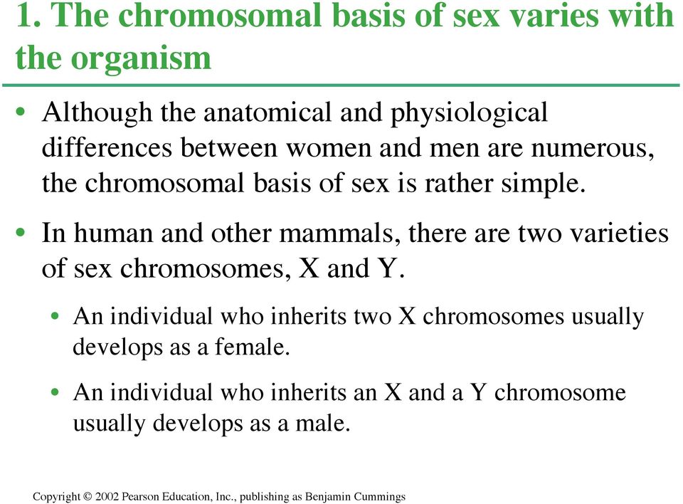In human and other mammals, there are two varieties of sex chromosomes, X and Y.