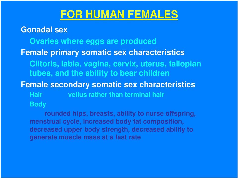 characteristics Hair vellus rather than terminal hair Body rounded hips, breasts, ability to nurse offspring,