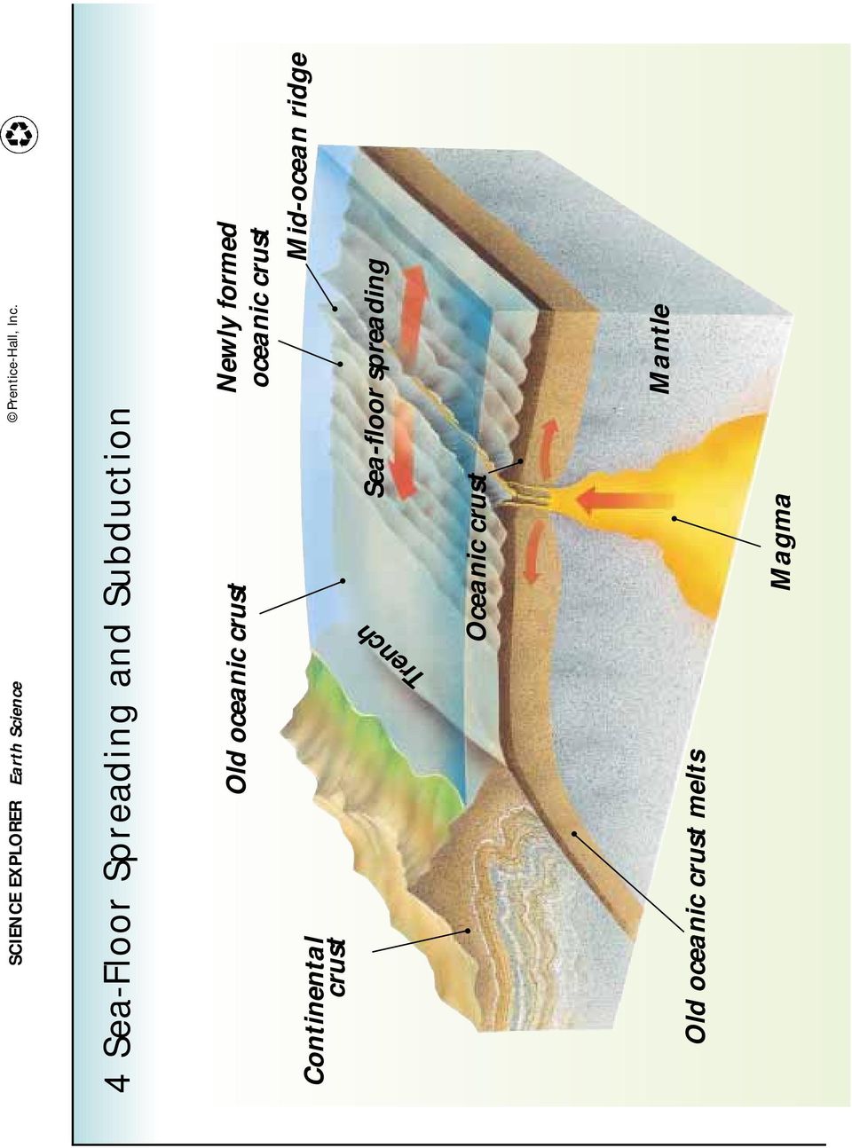 crust Sea-floor spreading Mid-ocean ridge Trench