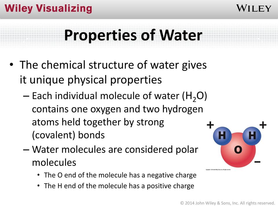 held together by strong (covalent) bonds Water molecules are considered polar molecules