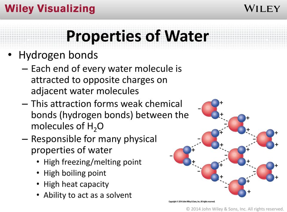 (hydrogen bonds) between the molecules of H 2 O Responsible for many physical properties