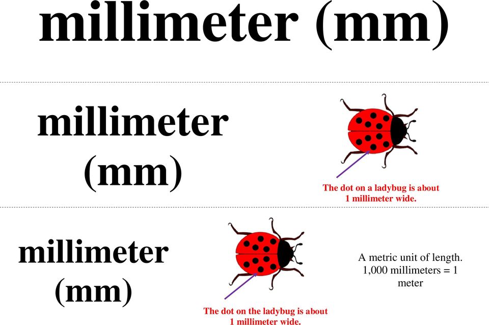 millimeter (mm) The dot on the  A metric unit of