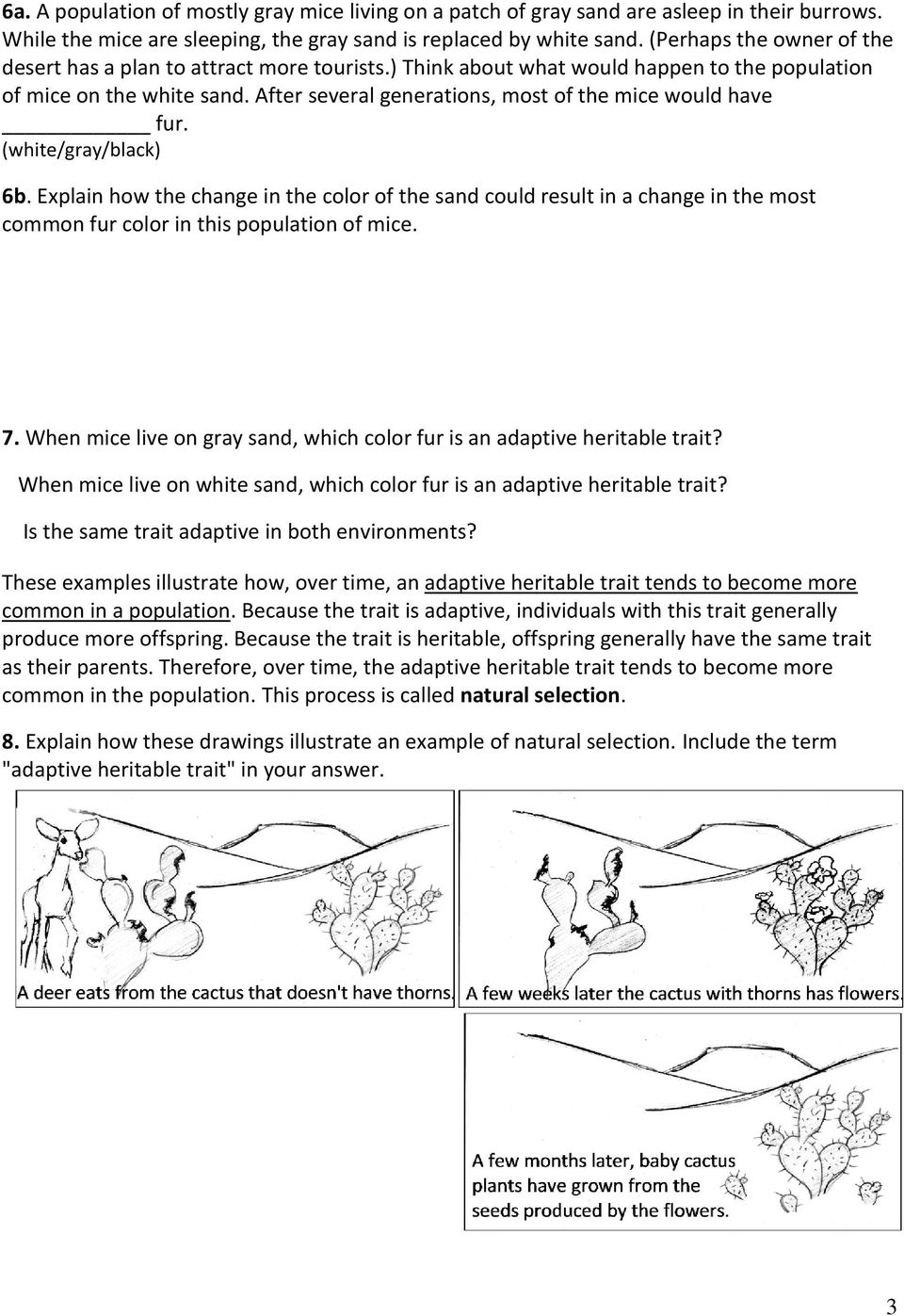 Evolution by Natural Selection 11 - PDF Free Download In Evolution And Natural Selection Worksheet