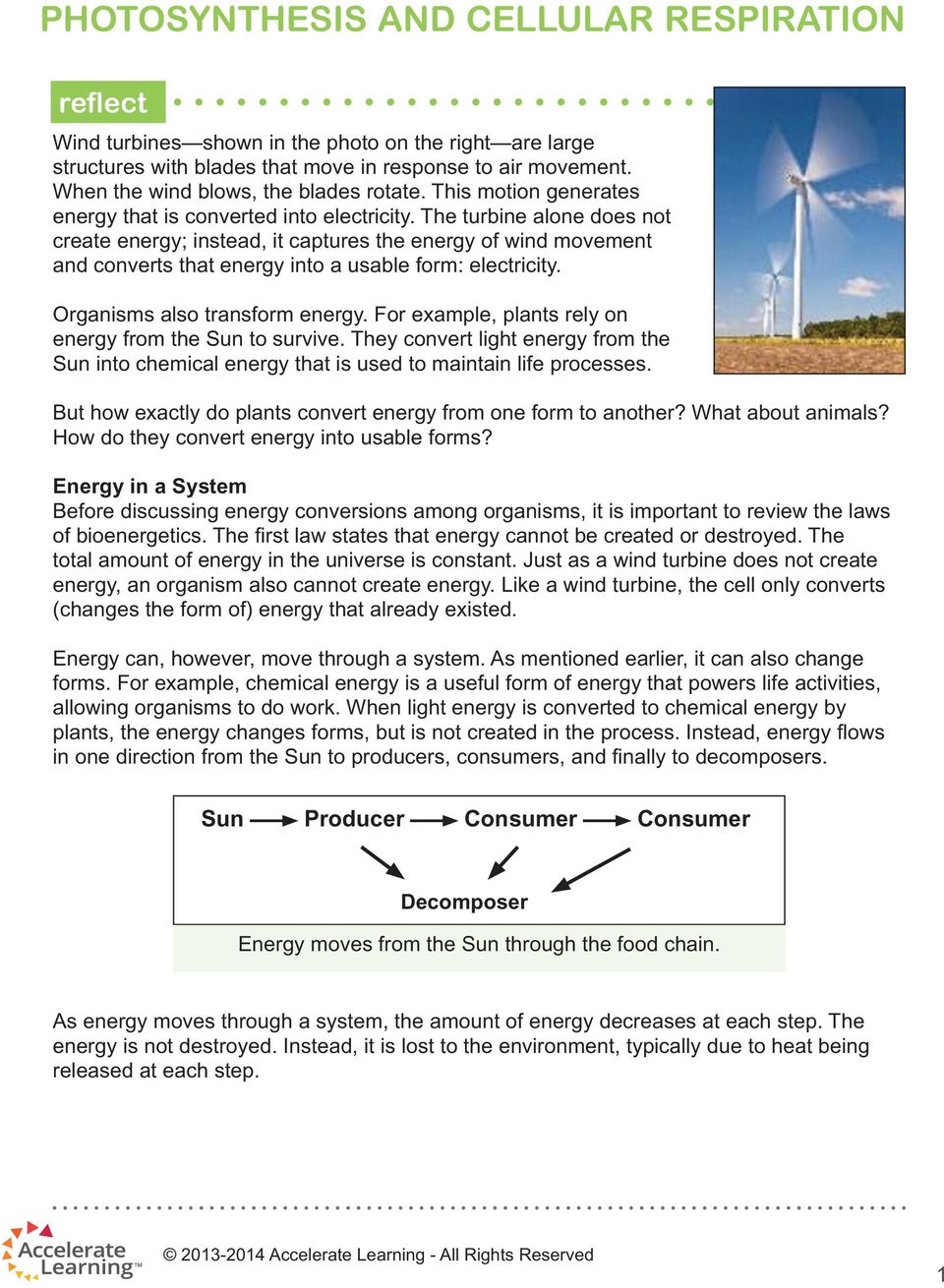 The turbine alone does not create energy; instead, it captures the energy of wind movement and converts that energy into a usable form: electricity. Organisms also transform energy.