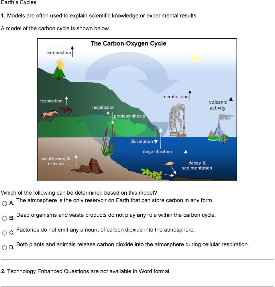 Dead organisms and waste products do not play any role within the carbon cycle. B.