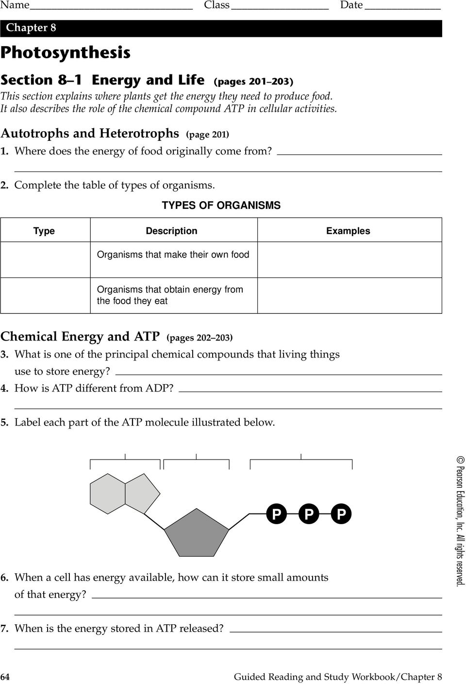TYPES OF ORGANISMS Type Description Examples Organisms that make their own food Organisms that obtain energy from the food they eat Chemical Energy and ATP (pages 202 203) 3.