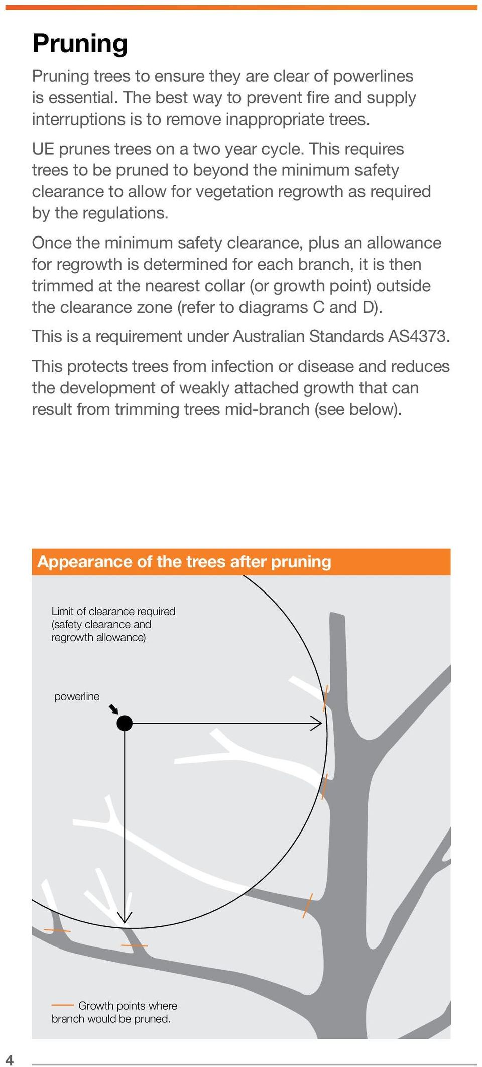Once the minimum safety clearance, plus an allowance for regrowth is determined for each branch, it is then trimmed at the nearest collar (or growth point) outside the clearance zone (refer to
