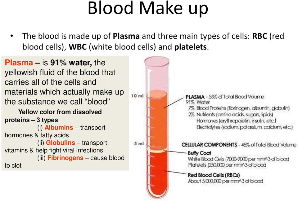 Plasma is 91% water, the yellowish fluid of the blood that carries all of the cells and materials which actually make