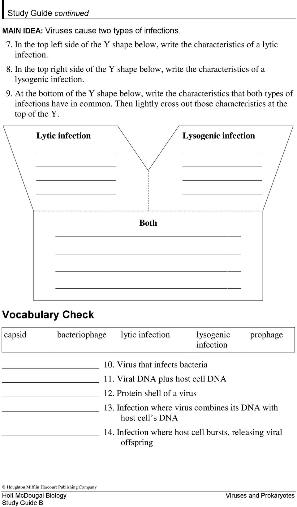 At the bottom of the Y shape below, write the characteristics that both types of infections have in common. Then lightly cross out those characteristics at the top of the Y.