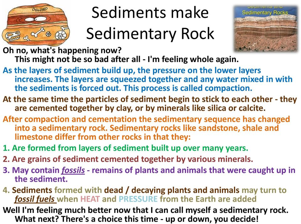 This process is called compaction. At the same time the particles of sediment begin to stick to each other - they are cemented together by clay, or by minerals like silica or calcite.