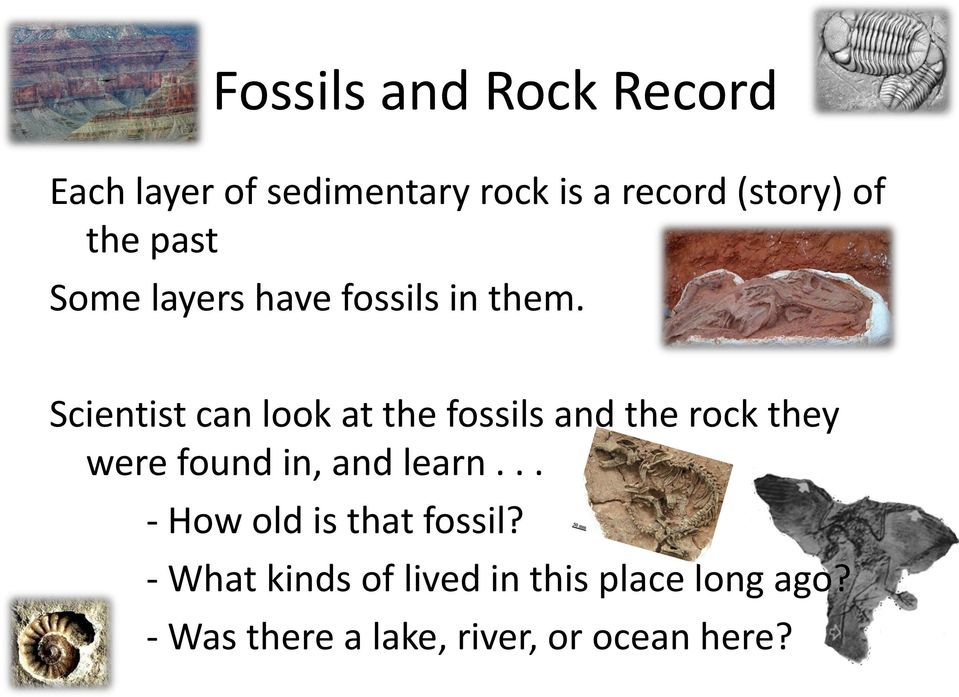Scientist can look at the fossils and the rock they were found in, and learn.