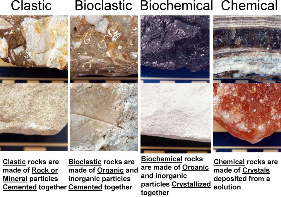 particles Cemented together Biochemical rocks are made of Organic and inorganic