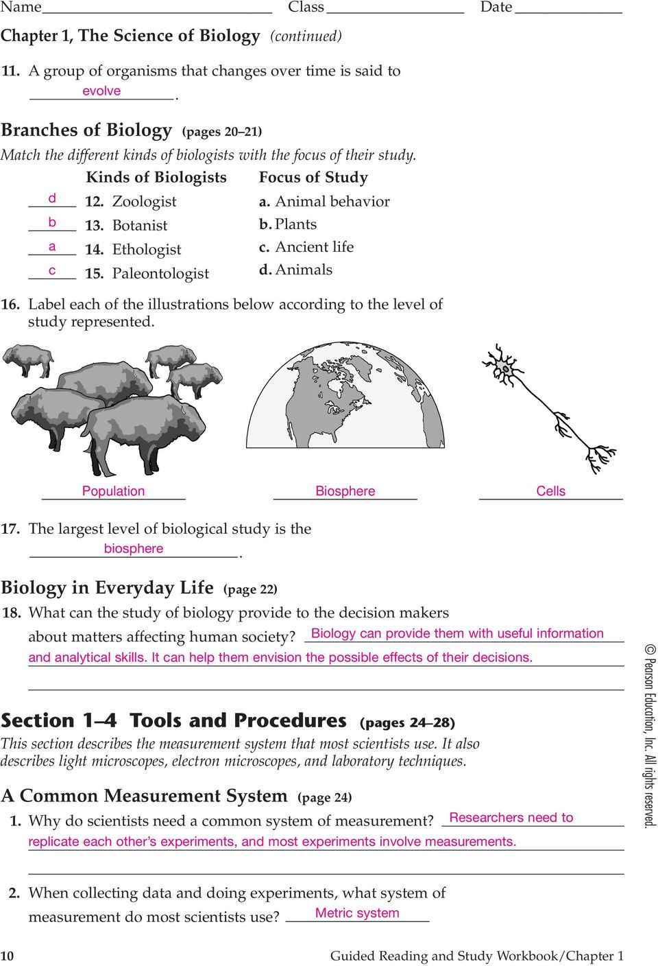 Plants a 14. Ethologist c. Ancient life c 15. Paleontologist d. Animals 16. Label each of the illustrations below according to the level of study represented. Population Biosphere Cells 17.