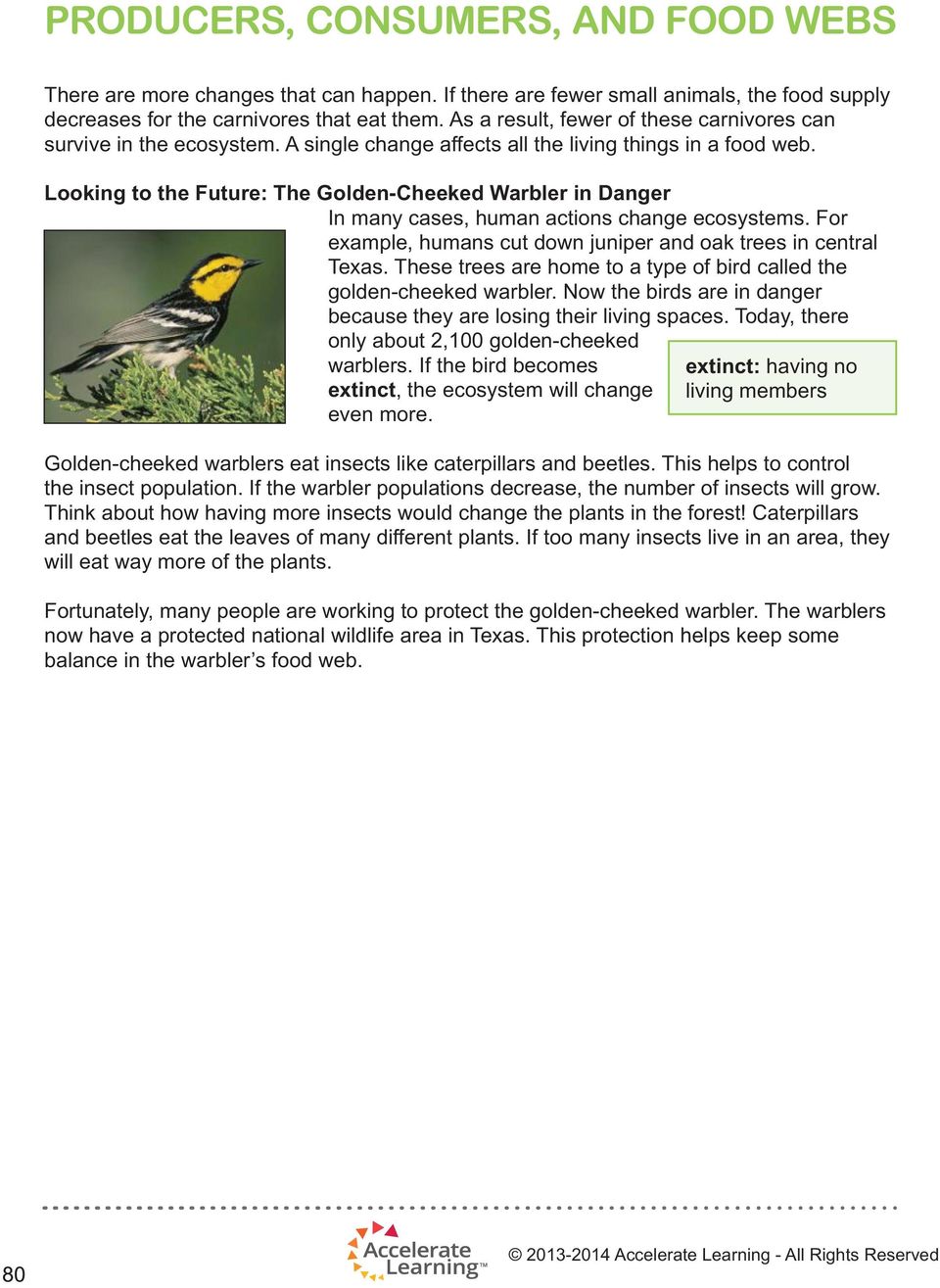 Looking to the Future: The Golden-Cheeked Warbler in Danger In many cases, human actions change ecosystems. For example, humans cut down juniper and oak trees in central Texas.