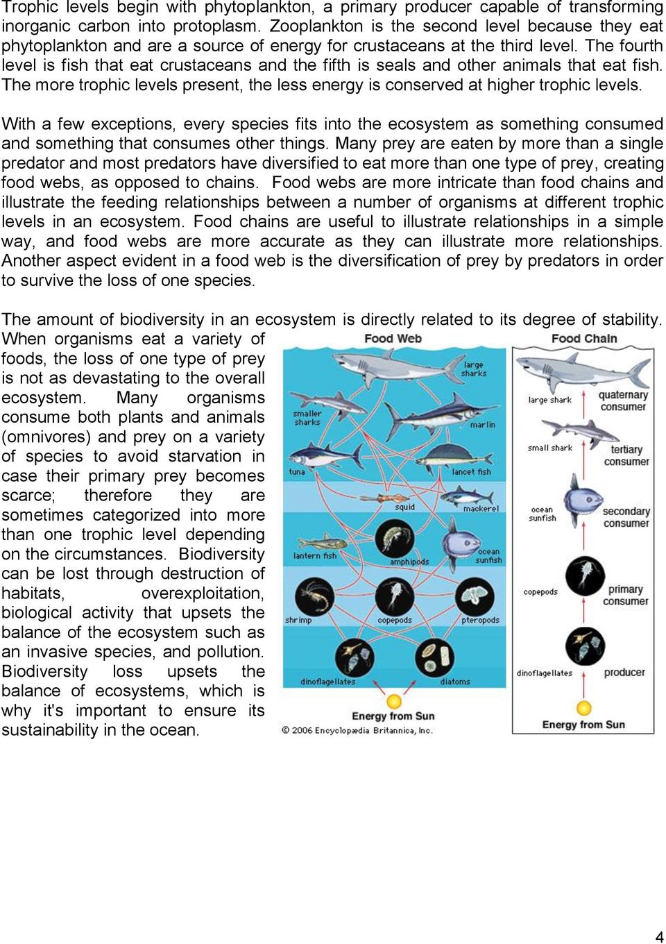 The fourth level is fish that eat crustaceans and the fifth is seals and other animals that eat fish. The more trophic levels present, the less energy is conserved at higher trophic levels.