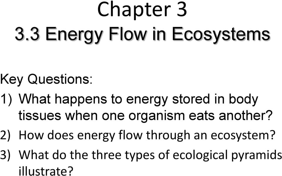 to energy stored in body tissues when one organism eats