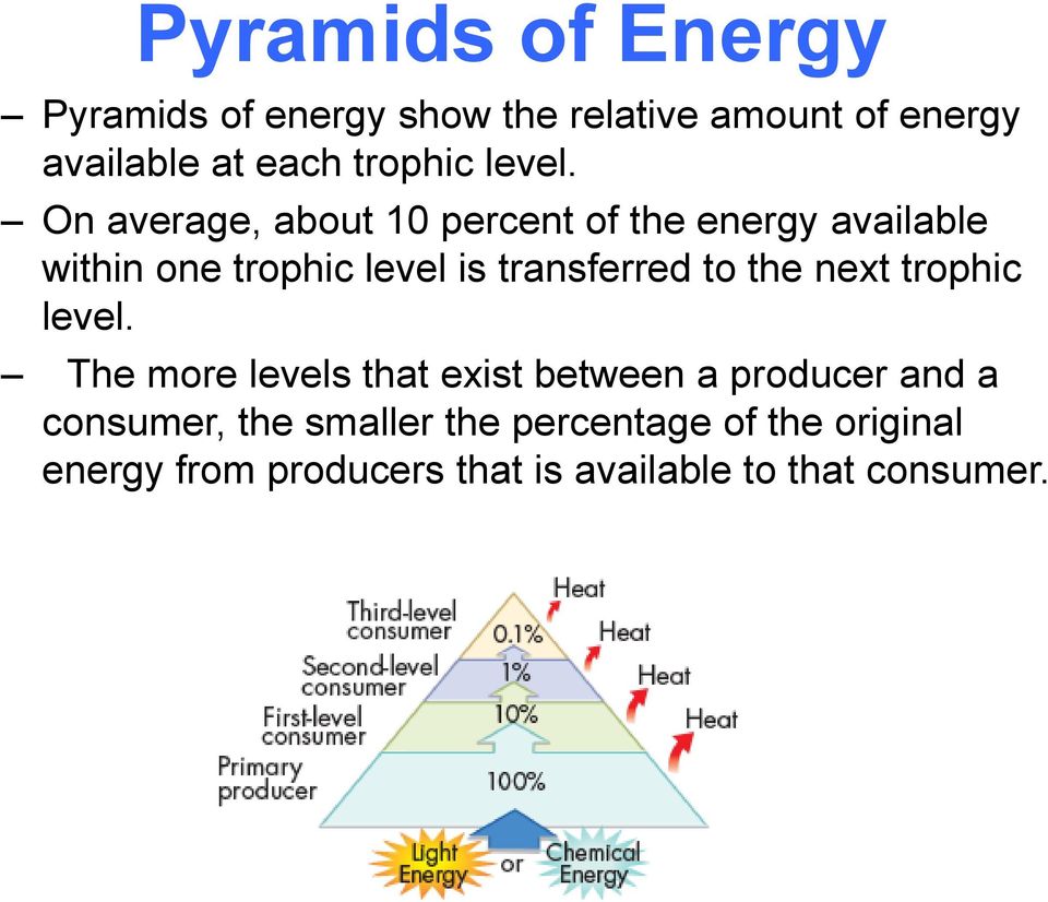 On average, about 10 percent of the energy available within one trophic level is transferred to