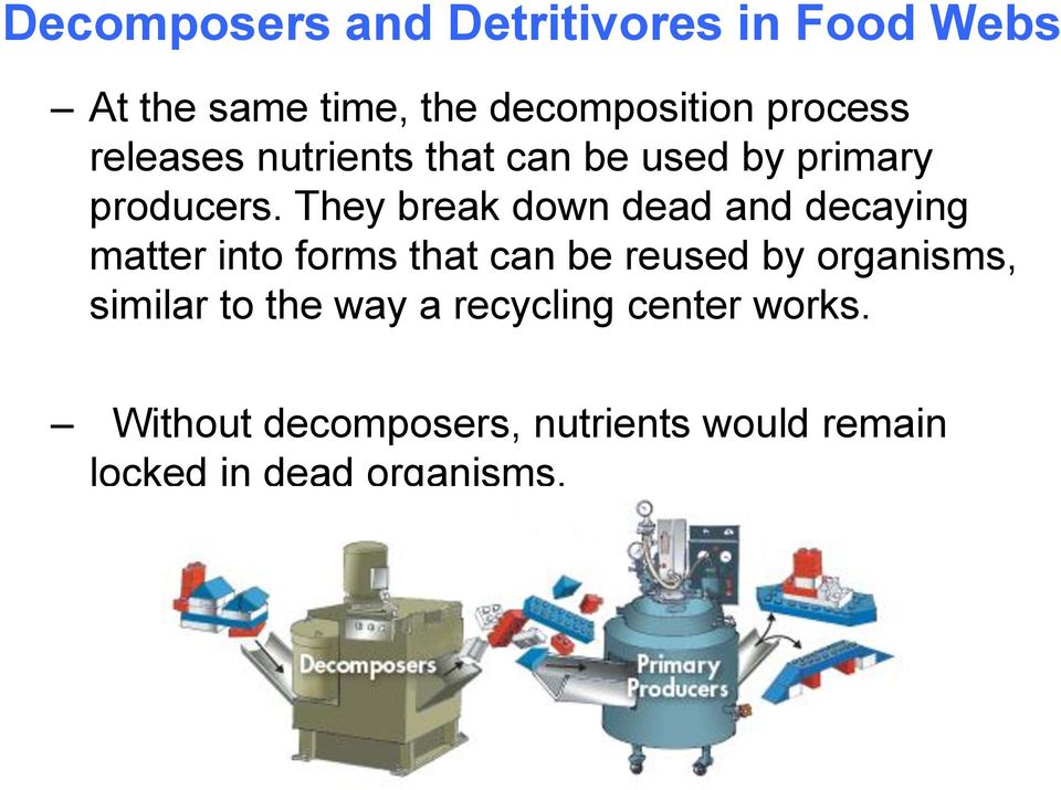 They break down dead and decaying matter into forms that can be reused by organisms,