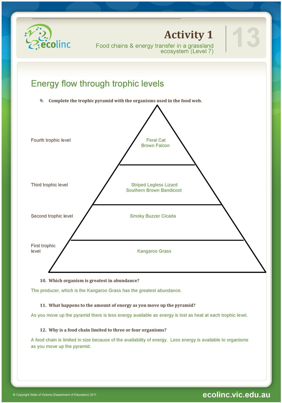 Which organism is greatest in abundance? The producer, which is the Kangaroo Grass has the greatest abundance. 11. What happens to the amount of energy as you move up the pyramid?