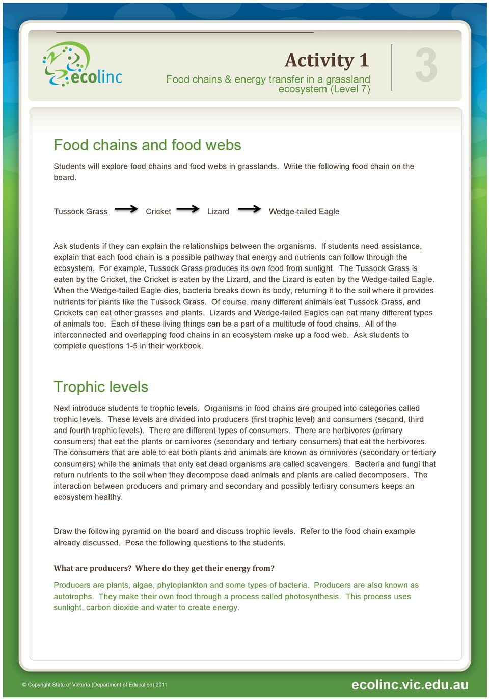 If students need assistance, explain that each food chain is a possible pathway that energy and nutrients can follow through the ecosystem.