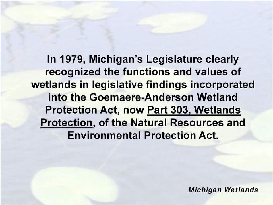 the Goemaere-Anderson Wetland Protection Act, now Part 303,