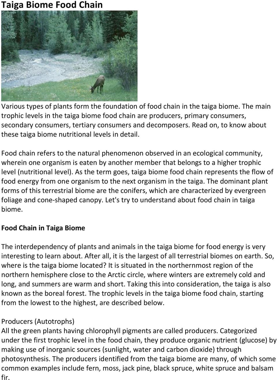 Read on, to know about these taiga biome nutritional levels in detail.