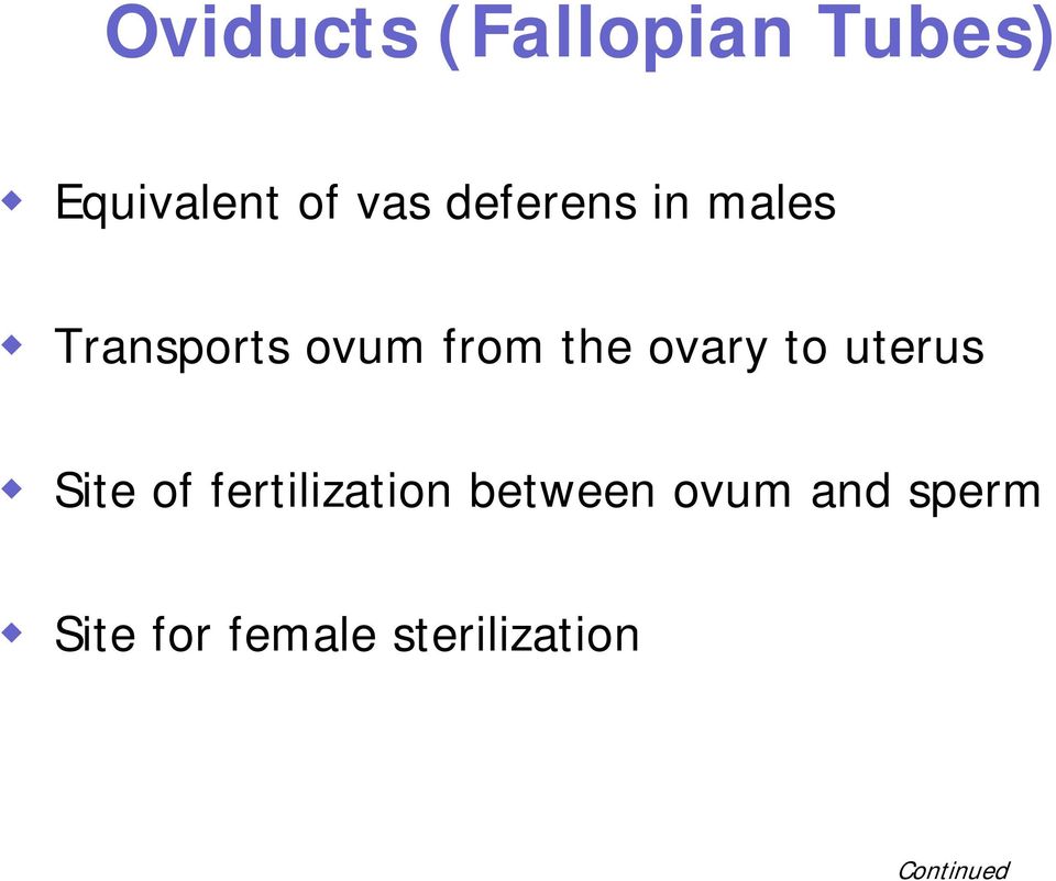 ovary to uterus Site of fertilization between
