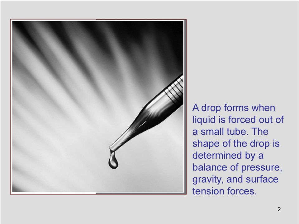The shape of the drop is determined by