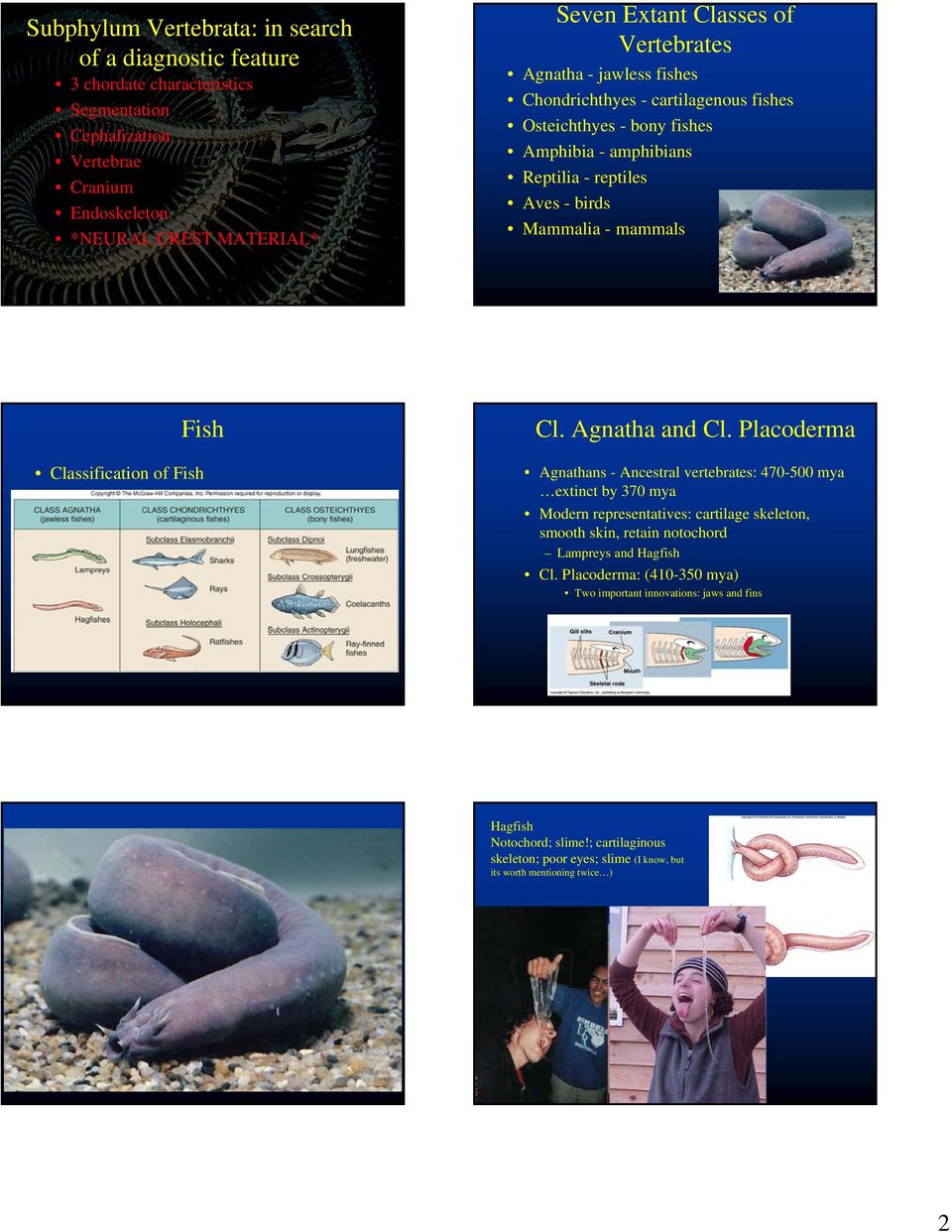 Classification of Fish Cl. Agnatha and Cl.