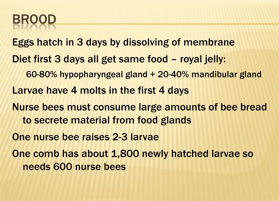 days Nurse bees must consume large amounts of bee bread to secrete material from food glands One