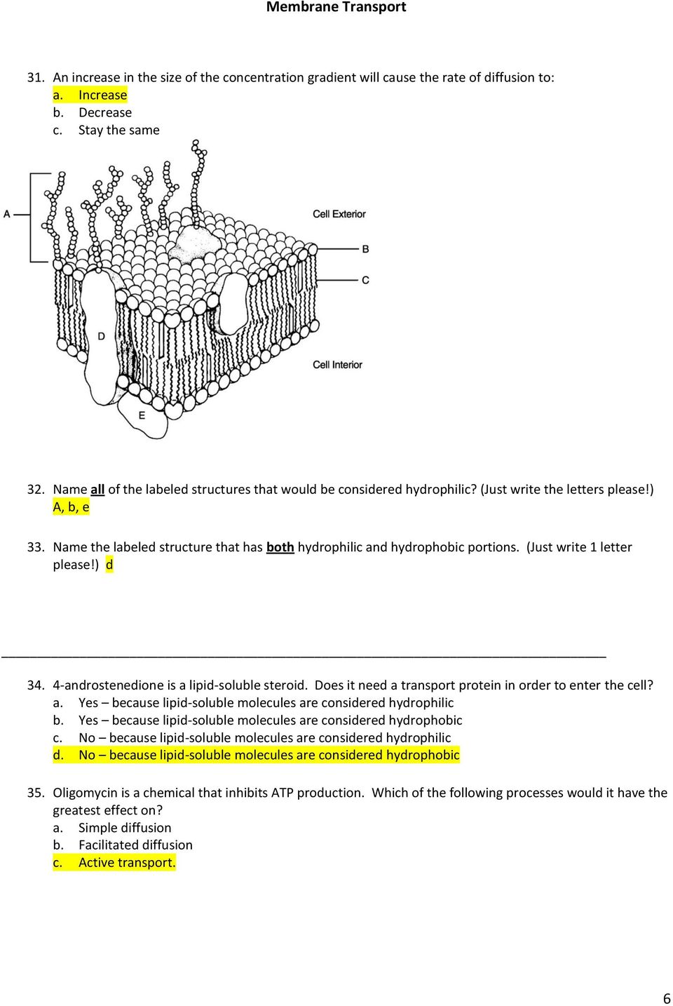 Membrane Transport. Extracellular Concentration of X - PDF Free With Cell Membrane And Tonicity Worksheet