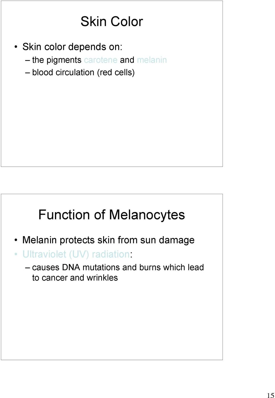 Melanin protects skin from sun damage Ultraviolet (UV)