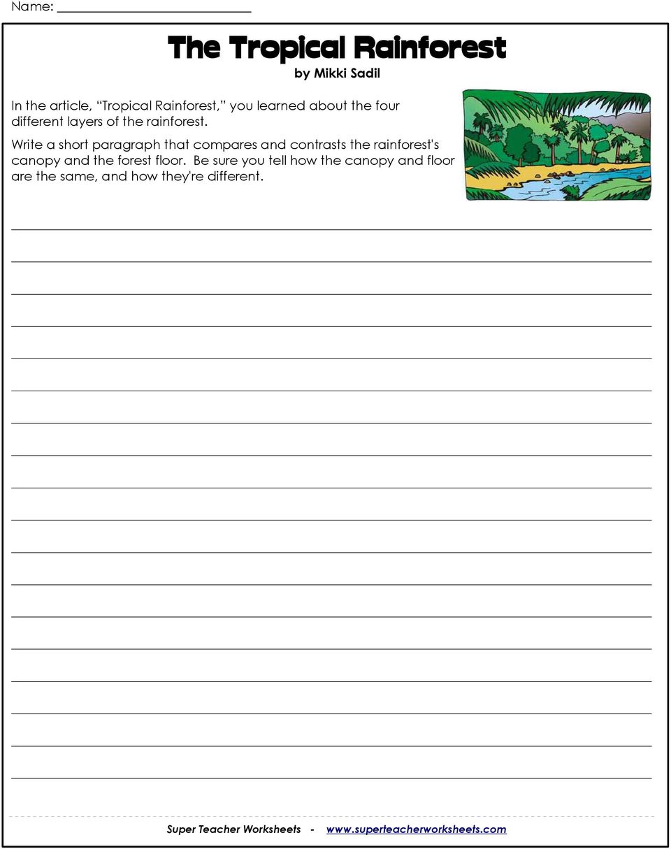 Write a short paragraph that compares and contrasts the rainforest's