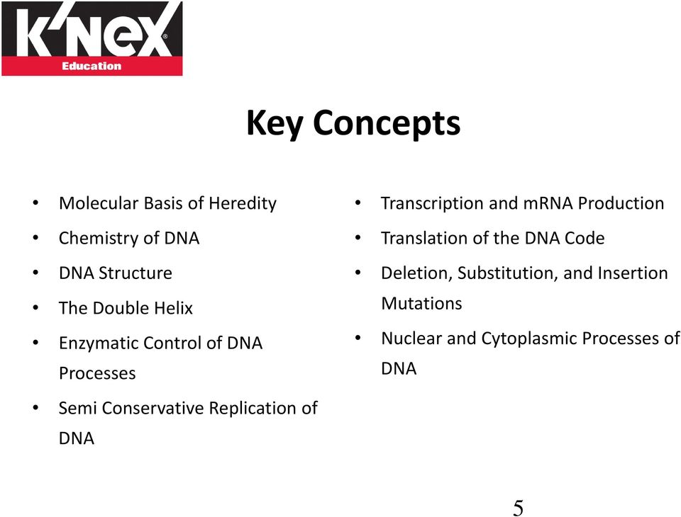 Processes Semi Conservative Replication of DNA Translation of the DNA Code