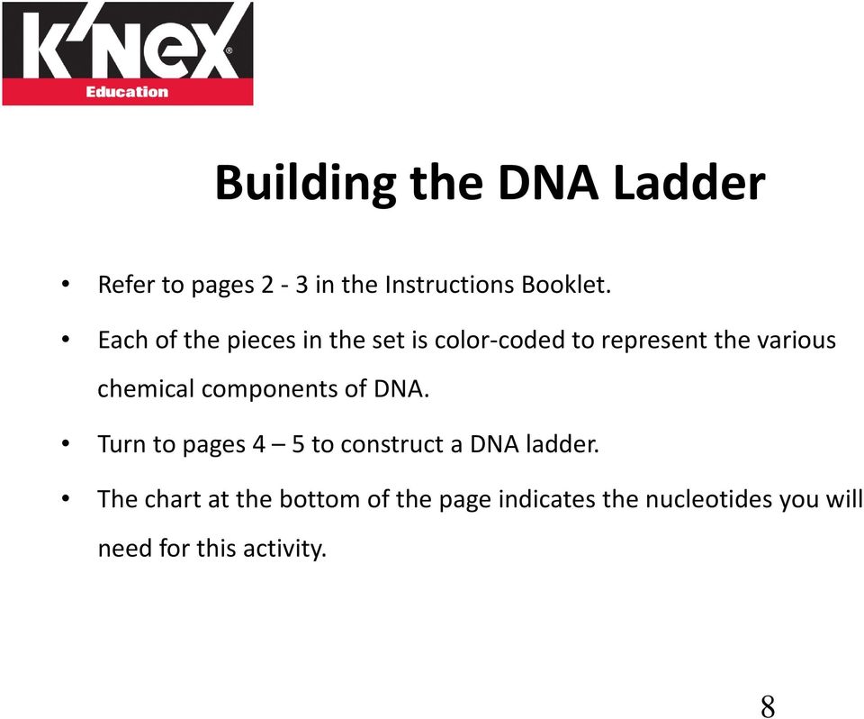 chemical components of DNA. Turn to pages 4 5 to construct a DNA ladder.